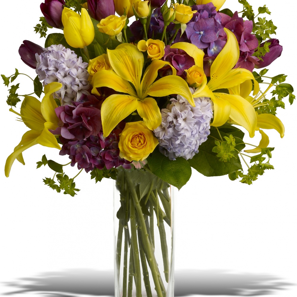 Spring Equinox