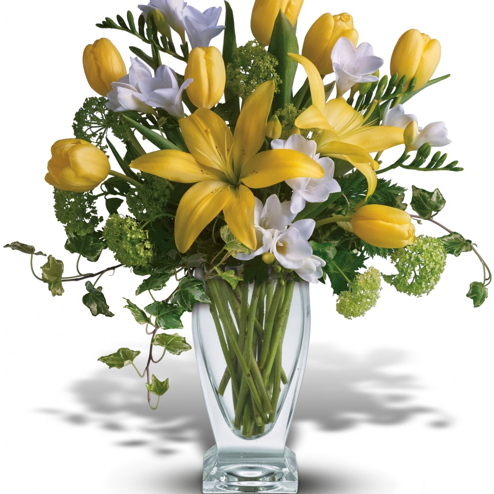 Spring Rhapsody