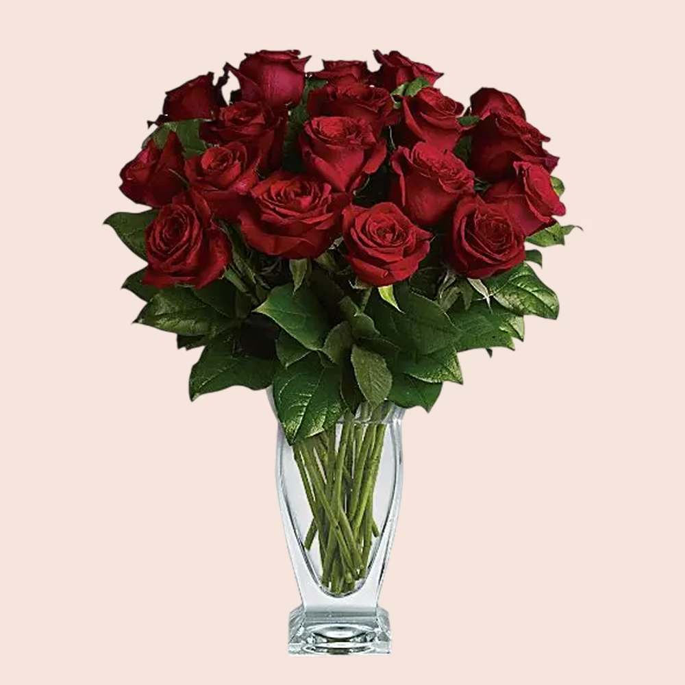 Rose Classique - Dozen Red Roses