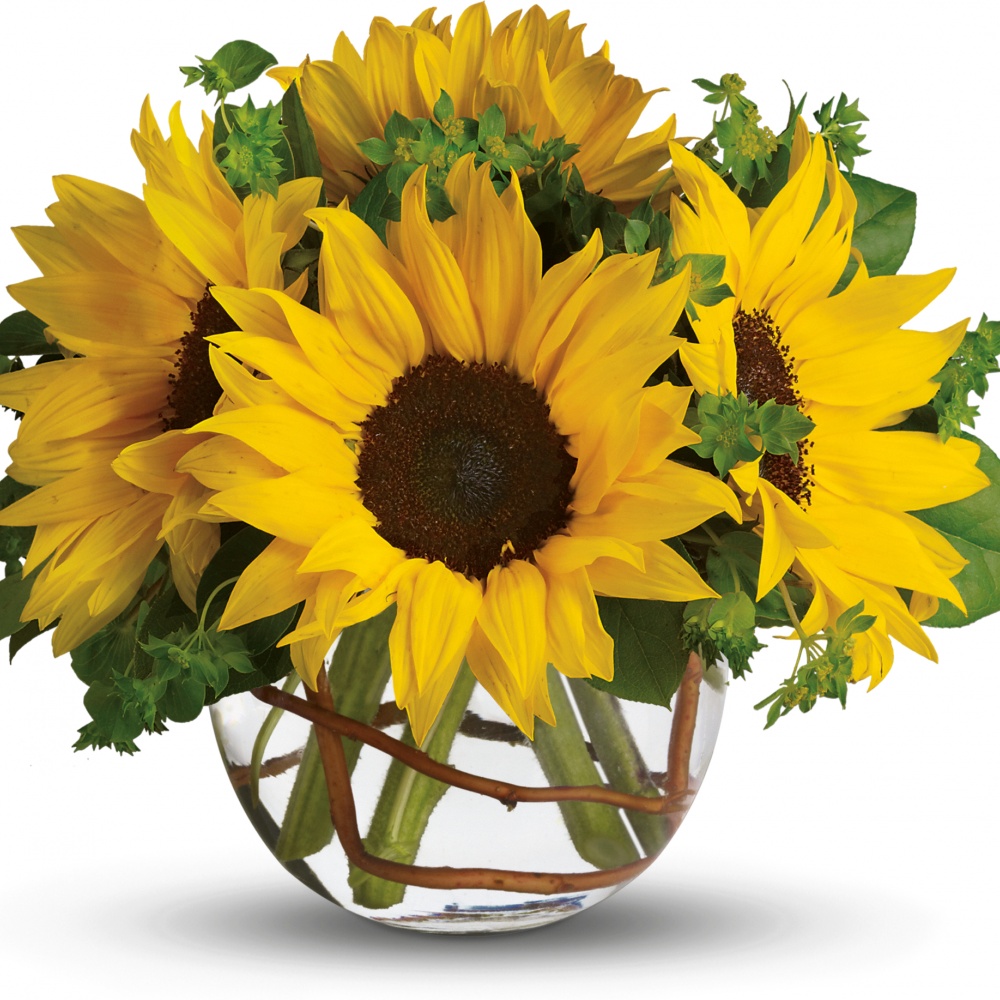 Sunny Sunflowers